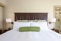 Room-200-Web-Size-scaled