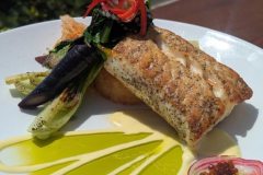 Halibut-Dinner-Plate